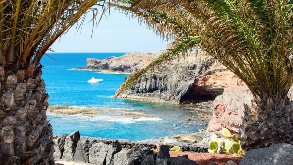Canary Islands.