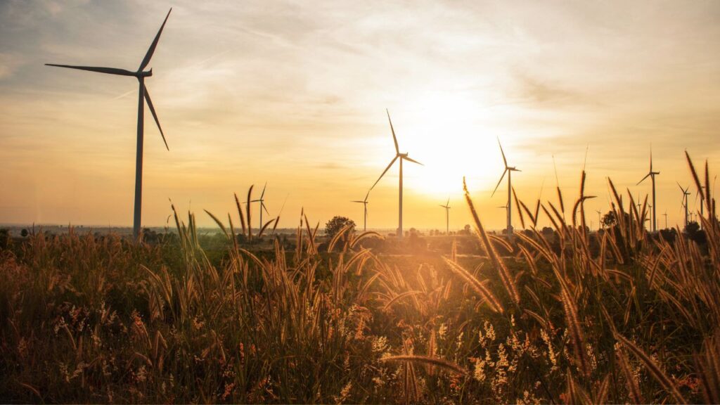Windmills.