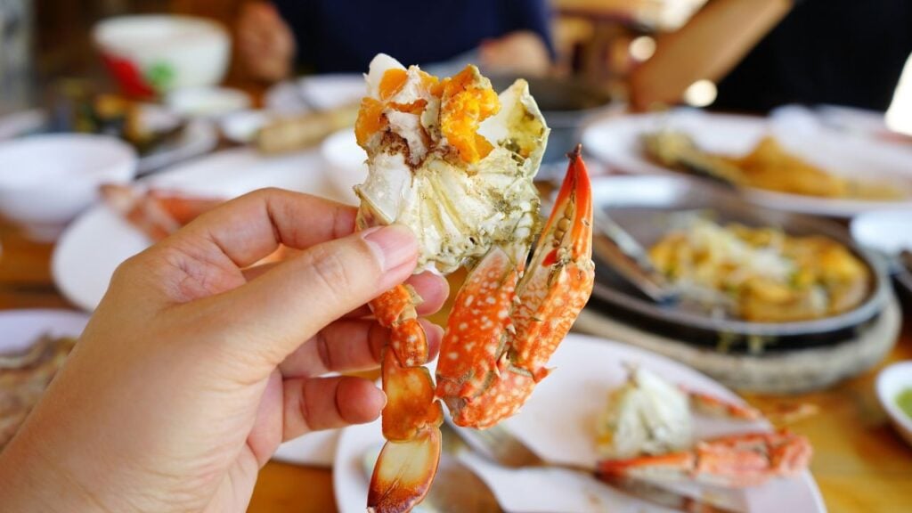 Untitled design 2025 02 28T090812.926