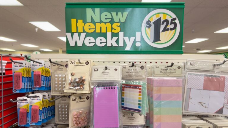 12 Items Wisconsinites Are Smart to Grab at Dollar Tree Instead of Walmart