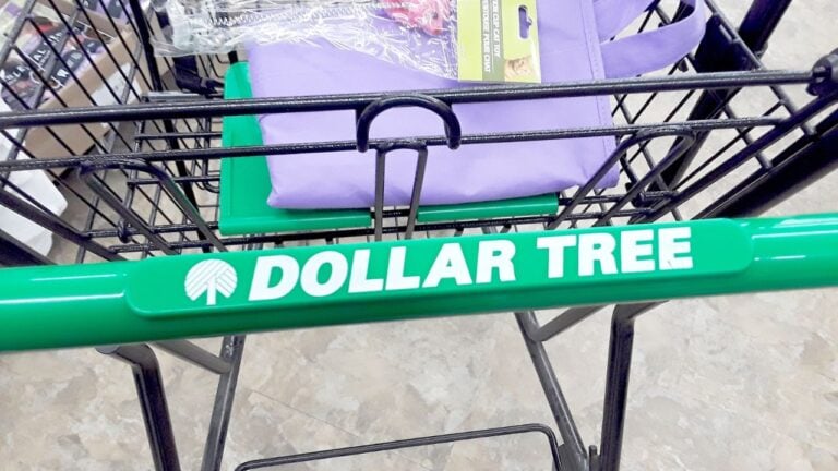 12 Smart Dollar Tree Shopping Tips Every American Should Know