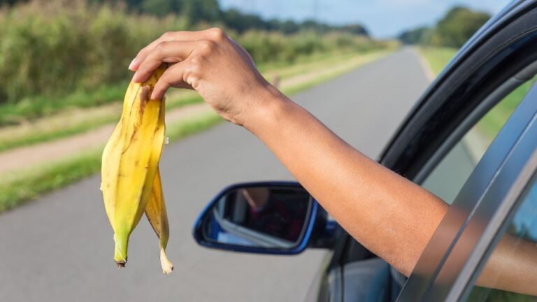 21 Rude Behaviors That Have Become All Too Common in Pennsylvania