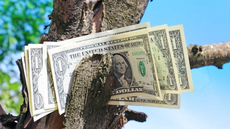 19 Dollar Tree Tips Illinois Shoppers Wish They’d Learned Sooner