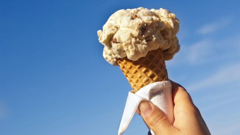 8 Limited-Edition Publix Ice Cream Flavors Available to Floridians This Summer
