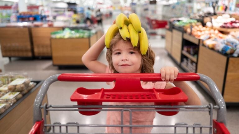 16 Facts Floridians Never Knew About Winn-Dixie