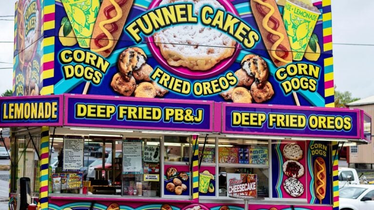 10 State Fairs Worth Planning a Trip Around (And Where to Sleep After the Funnel Cake), North Carolina Makes the Cut