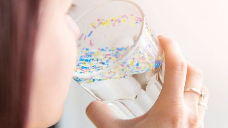 24 Items That Have High Levels of Microplastics. Wisconsinites, Beware