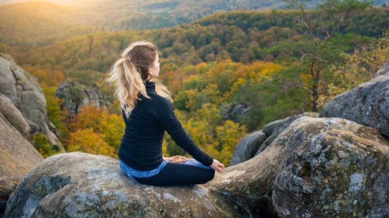 14 Surprising Ways Nature Can Improve New York Residents’ Mood, According to Science