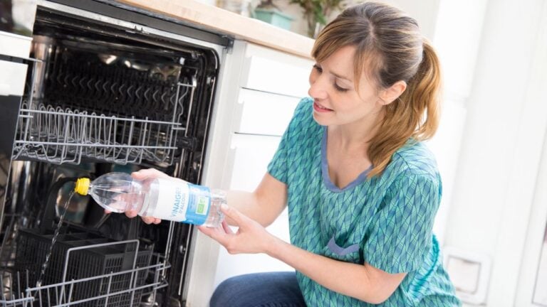 19 Things New Mexicans Should Never Clean With Vinegar