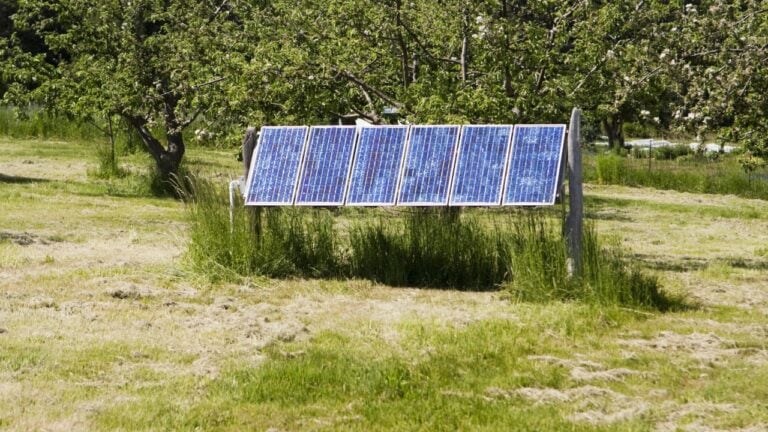 15 Extreme Things Off-Grid Alabamians Do Just to Stay Comfortable