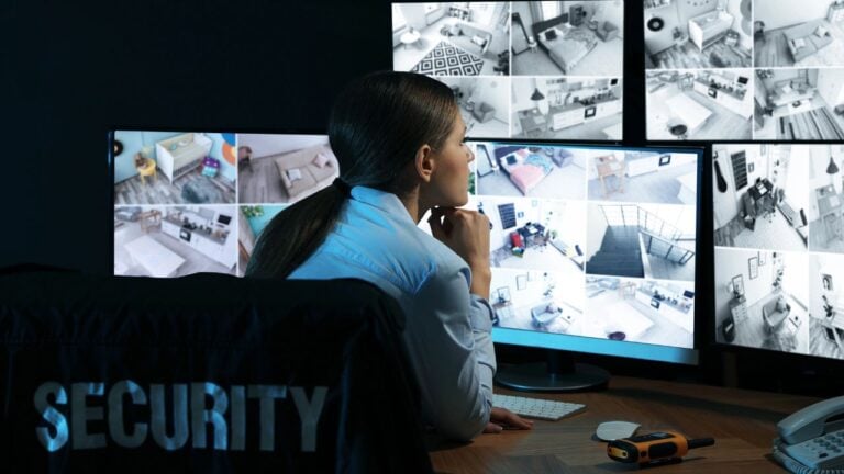 22 Innocent Behaviors That Look Way Worse on Florida Security Cameras (LOL Edition)