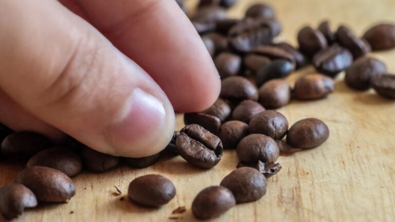 13 Morning Habits Illinoisans Can Implement That Set the Tone for a Better Day