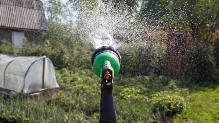 20 Habits That Waste Water Without New Yorkers Realizing It