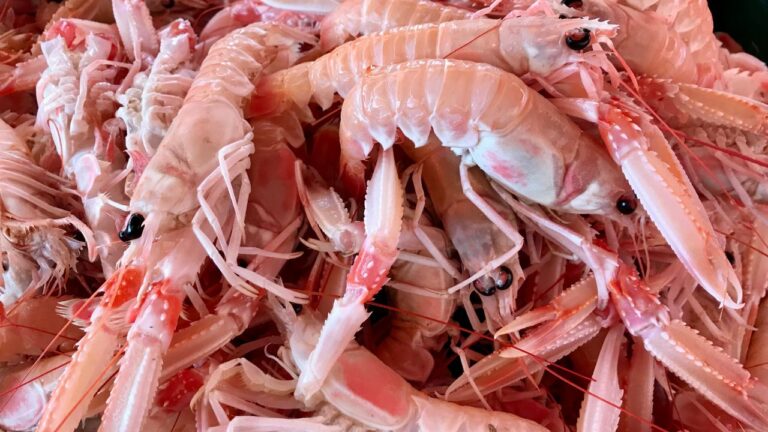 12 Publix Hacks That Make Floridians Wonder Why They Didn’t Start Doing Them Sooner