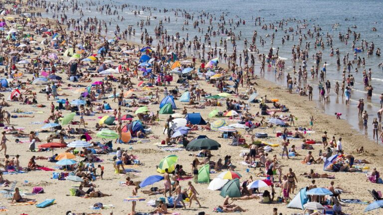 10 Things Only Virginia Beach Locals Know About Summer