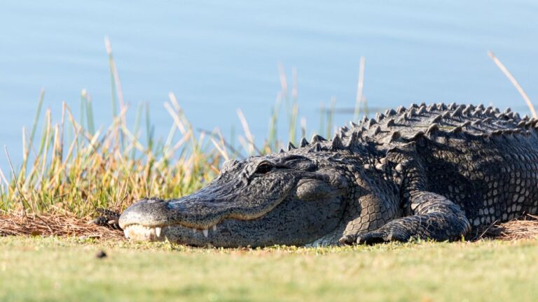 12 Things People Outside Texas Will Never Believe