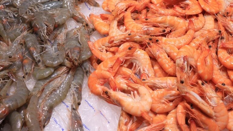 10 Reasons Floridians Are Fiercely Loyal to Winn-Dixie Even When Publix Is Right There