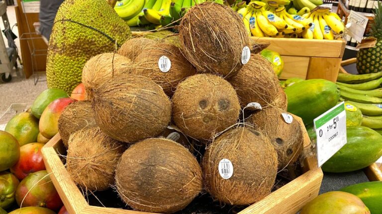 15 Things Northerners Are Shocked to Learn About Florida Grocery Stores