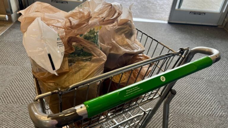 11 Things Floridians Wish They Could Tell Every Snowbird Before Their First Publix Trip
