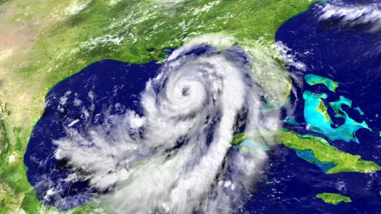 11 Things Texans Do at H-E-B During Hurricane Season