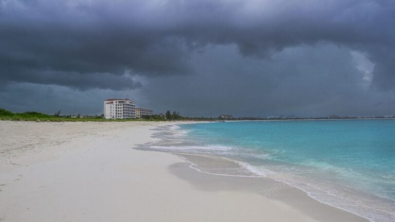 9 Signs You’ve Officially Survived Your First Florida Summer