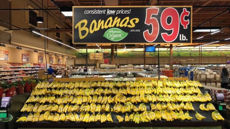 Image Credit: ProShooter/Depositphotos.com.