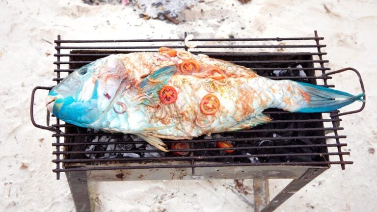 12 Things Floridians Do in January That the Rest of the Country Does in July