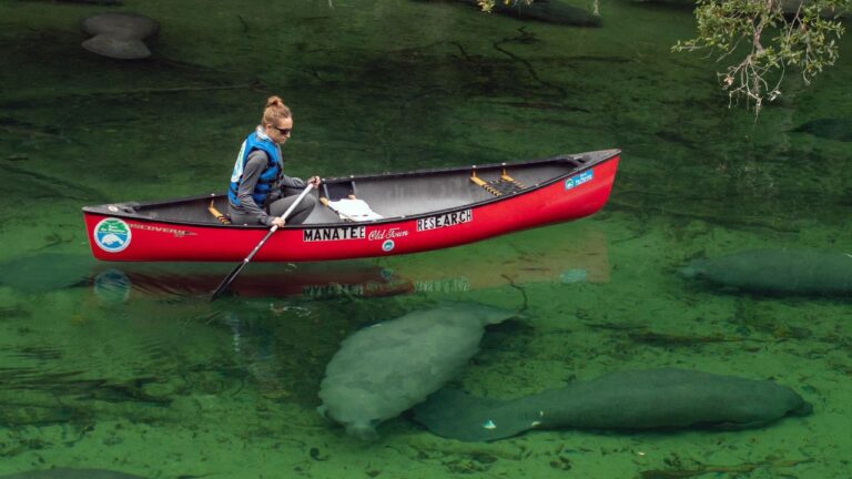 9 Florida Secrets Only Year-Round Locals Know