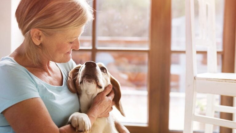 10 Texas Property Tax Breaks That Save Seniors $900 a Year (Or More)