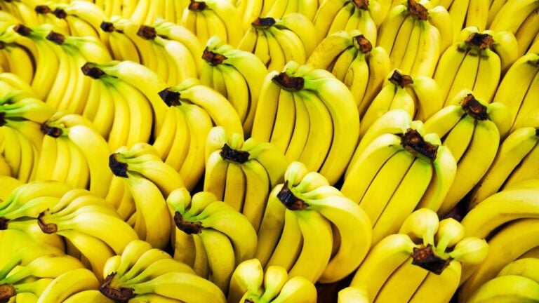 18 Disturbing Facts You’ll Wish You Never Learned, Californians