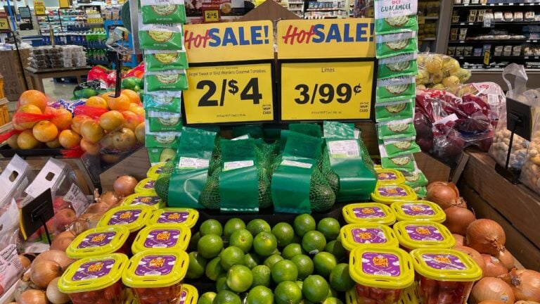 8 Food Lion Savings Secrets Every North Carolina Senior Should Know
