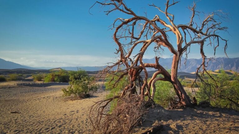 9 Ways the 2026 Heat Wave Is Hitting California Hardest