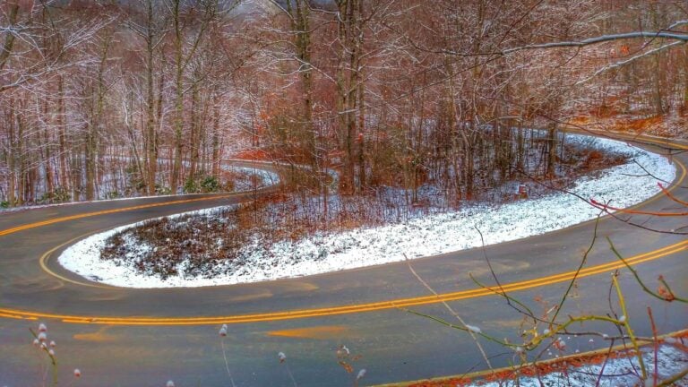 12 Things That Shock Northerners Who Retire in North Carolina