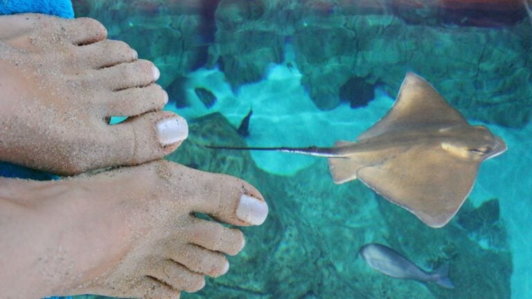9 Summer Habits That Instantly Give Away a Florida Local