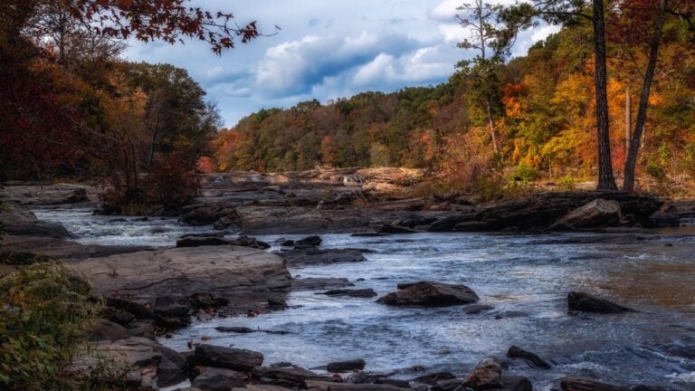7 Georgia State Parks Locals Say Beat the Famous Ones