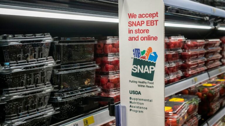 Does Publix Take EBT in Florida? What SNAP Shoppers Can Buy in 2026