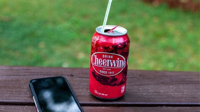 11 Foods and Drinks North Carolinians Grew Up on That the Rest of America Never Tasted