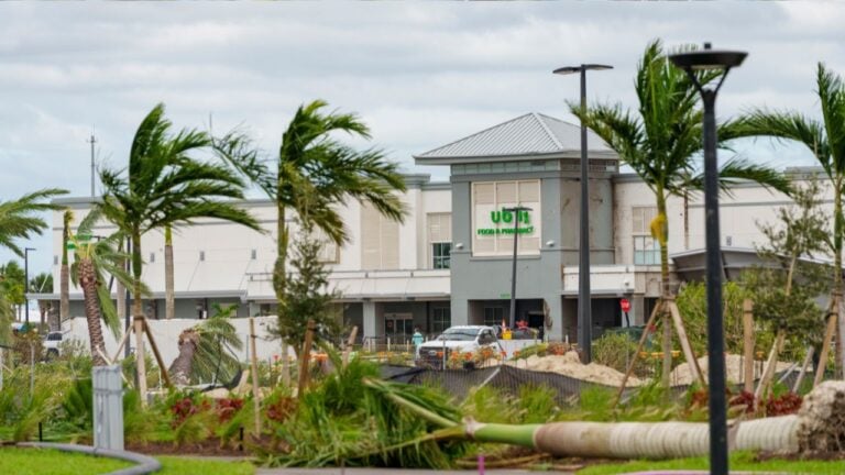 8 Things Floridians Grab at Publix Before a Hurricane Warning Hits