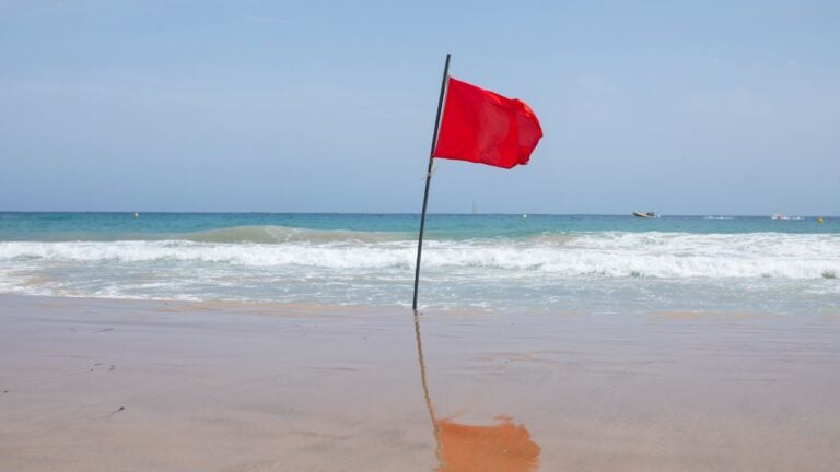 11 Things Floridians Refuse to Do in August No Matter What