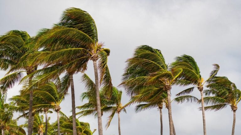11 Things Floridians Stay Calm About in Hurricane Season That Terrify Everyone Else