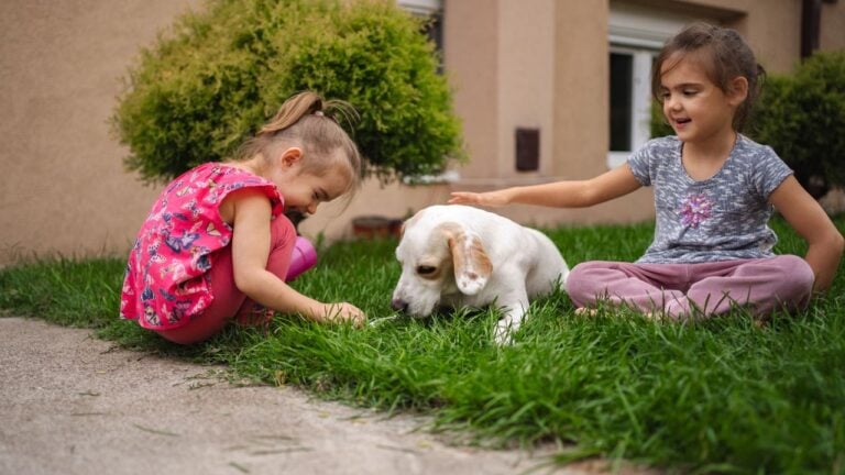 12 Things Florida Kids Did in Summer Before the Internet
