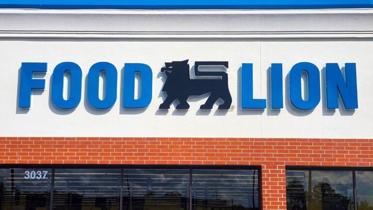 8 Food Lion Tricks Virginians Use to Save Money