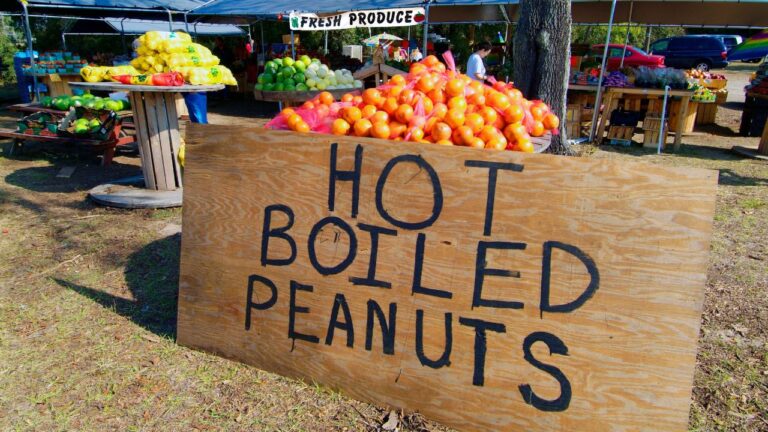 15 Florida Summer Traditions That Are Disappearing