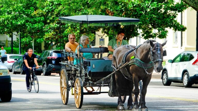 7 Reasons Retirees Are Flocking to Georgia in 2026