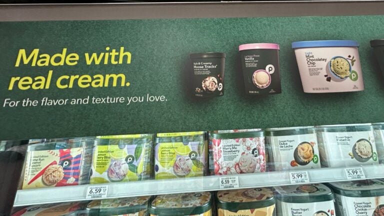 8 Things Floridians Always Grab in Publix’s Freezer Aisle