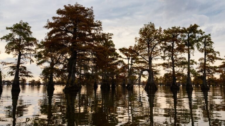 9 Texas Lake Towns Locals Swear By Once Tourists Clear Out
