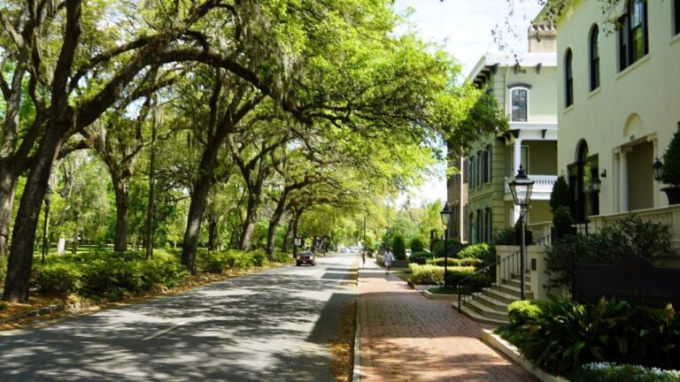 10 Things Out-of-Staters Always Get Wrong About Georgia