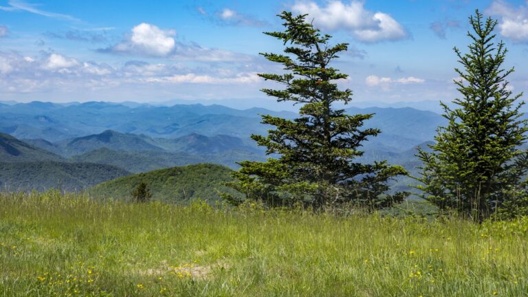 6 Overhyped North Carolina Mountain Stops (and 6 Worth the Winding Drive)