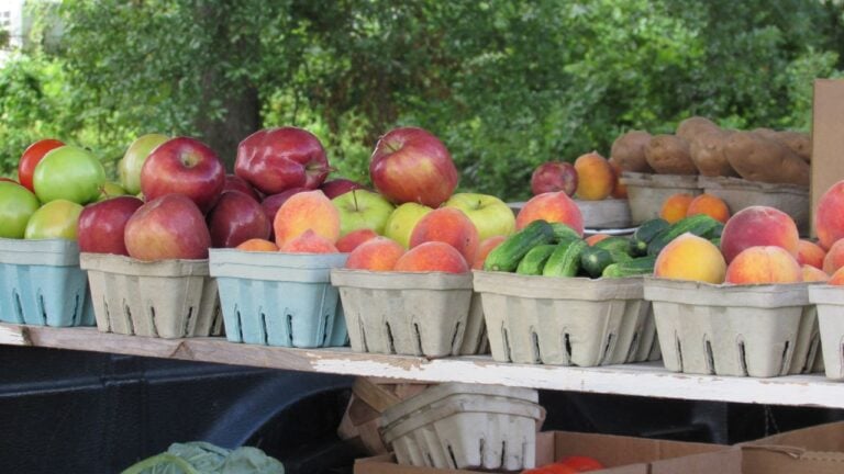 10 Roadside Stops North Carolinians Swear By Every Summer