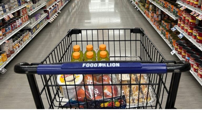 9 Food Lion Habits That Mark a Lifelong North Carolina Shopper